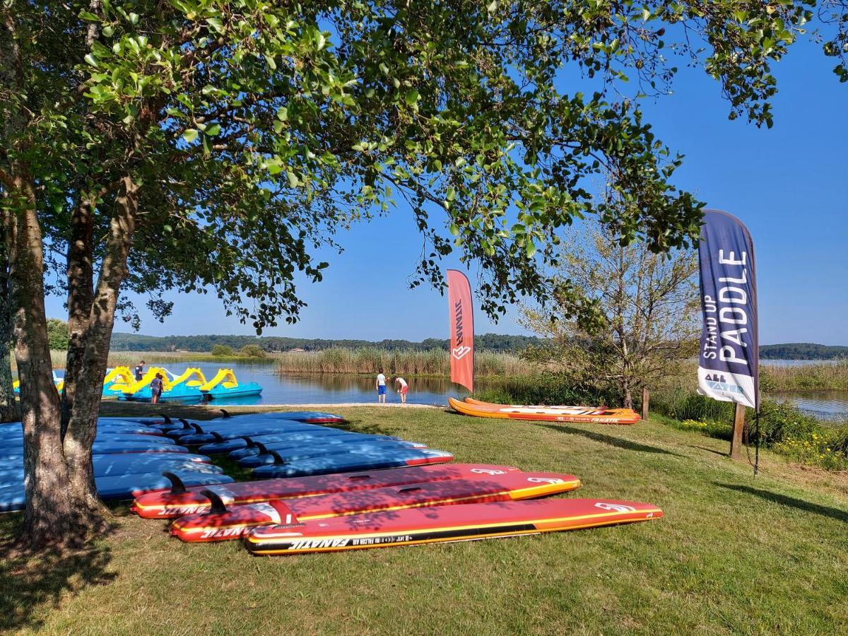T2, 50M Du Lac, Piscine, Wifi, Jardin Terrasse Sans Vis-A-Vis, 1 A 4 Pers オレイアン エクステリア 写真