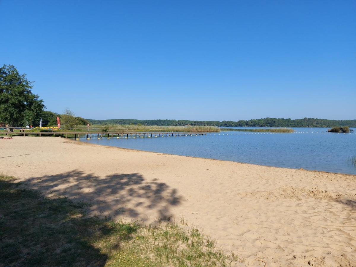 T2, 50M Du Lac, Piscine, Wifi, Jardin Terrasse Sans Vis-A-Vis, 1 A 4 Pers オレイアン エクステリア 写真