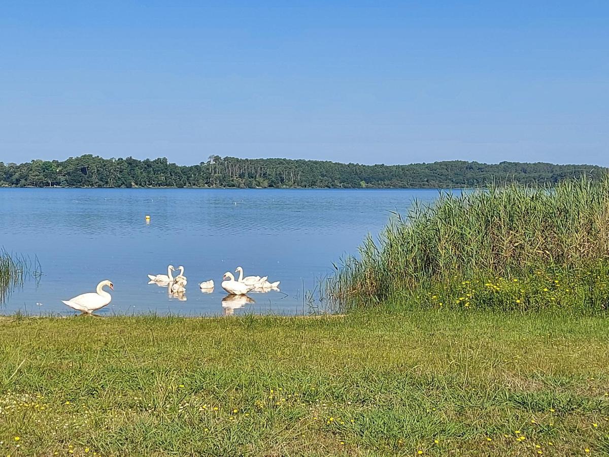 T2, 50M Du Lac, Piscine, Wifi, Jardin Terrasse Sans Vis-A-Vis, 1 A 4 Pers オレイアン エクステリア 写真