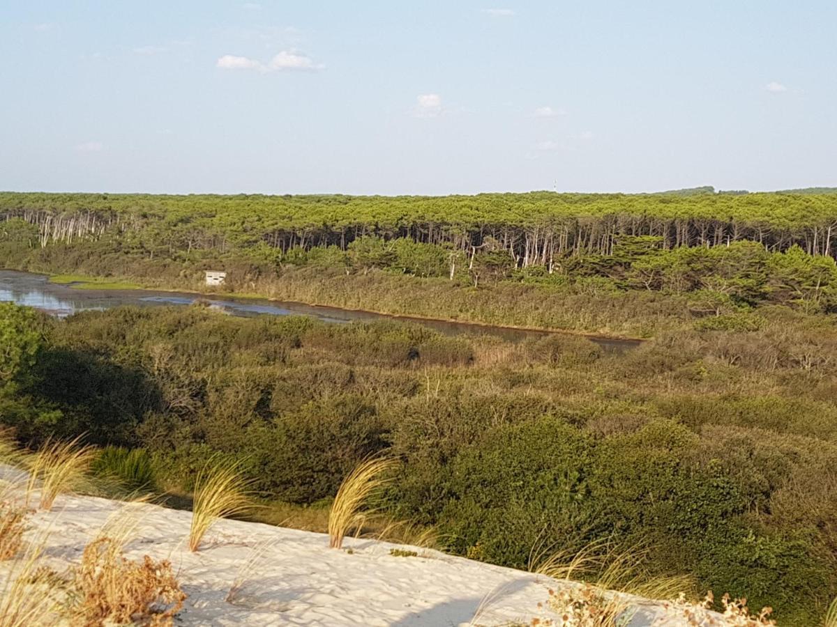 T2, 50M Du Lac, Piscine, Wifi, Jardin Terrasse Sans Vis-A-Vis, 1 A 4 Pers オレイアン エクステリア 写真